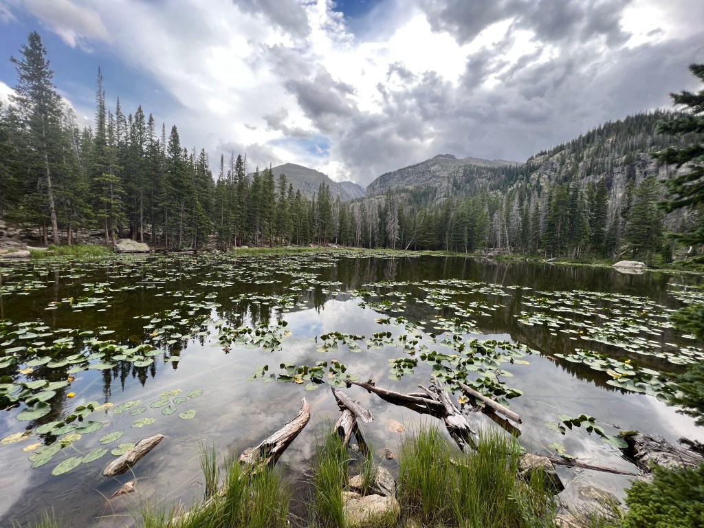 5 Reasons Why You Should Book that&nbsp;Trip